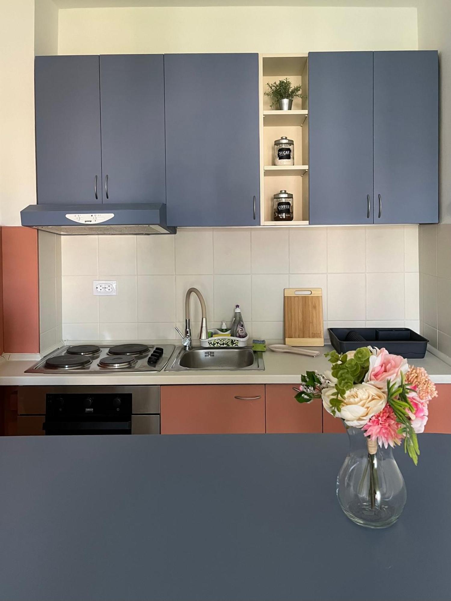 נובי סאד Apartment Vera With Free Garage מראה חיצוני תמונה