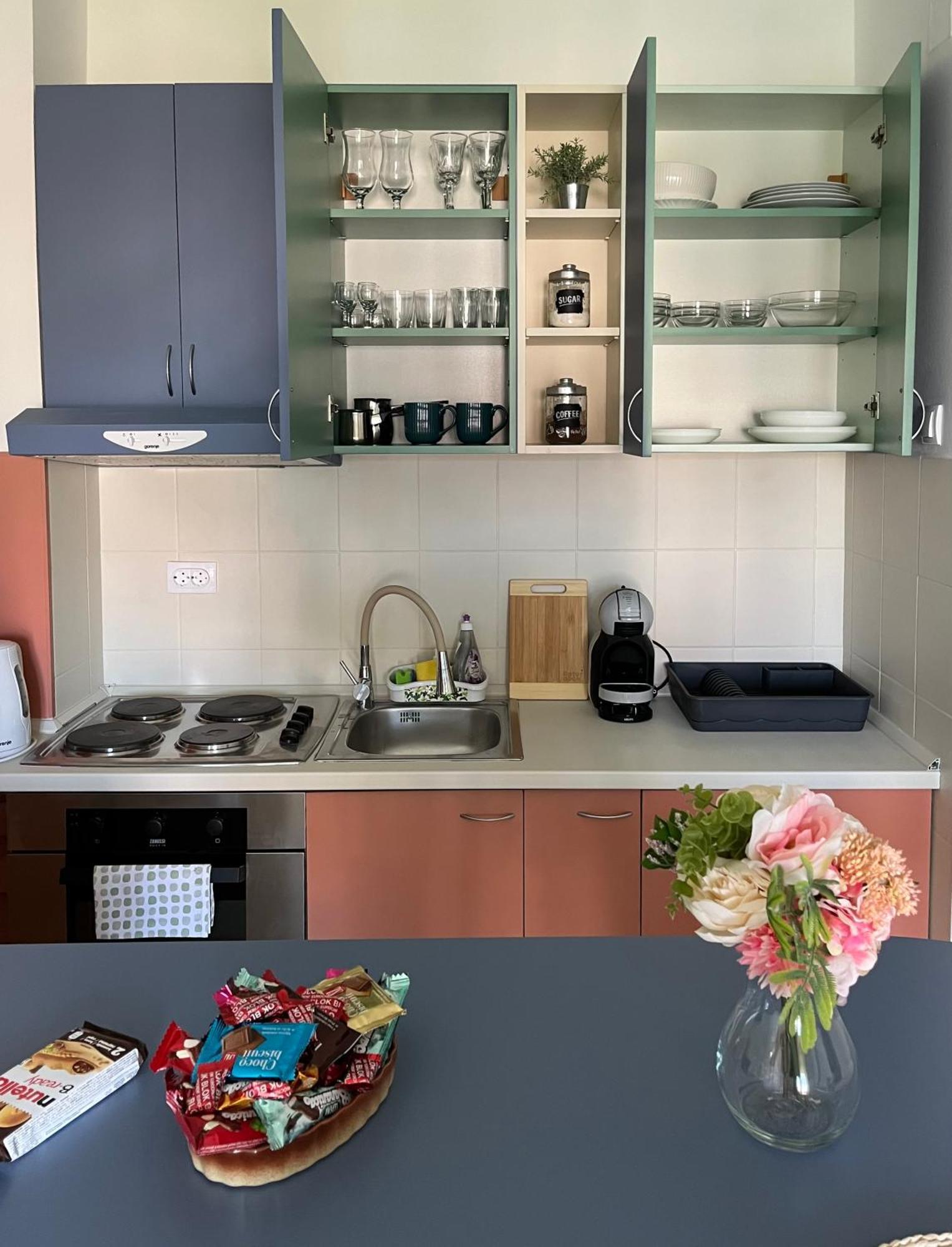 נובי סאד Apartment Vera With Free Garage מראה חיצוני תמונה