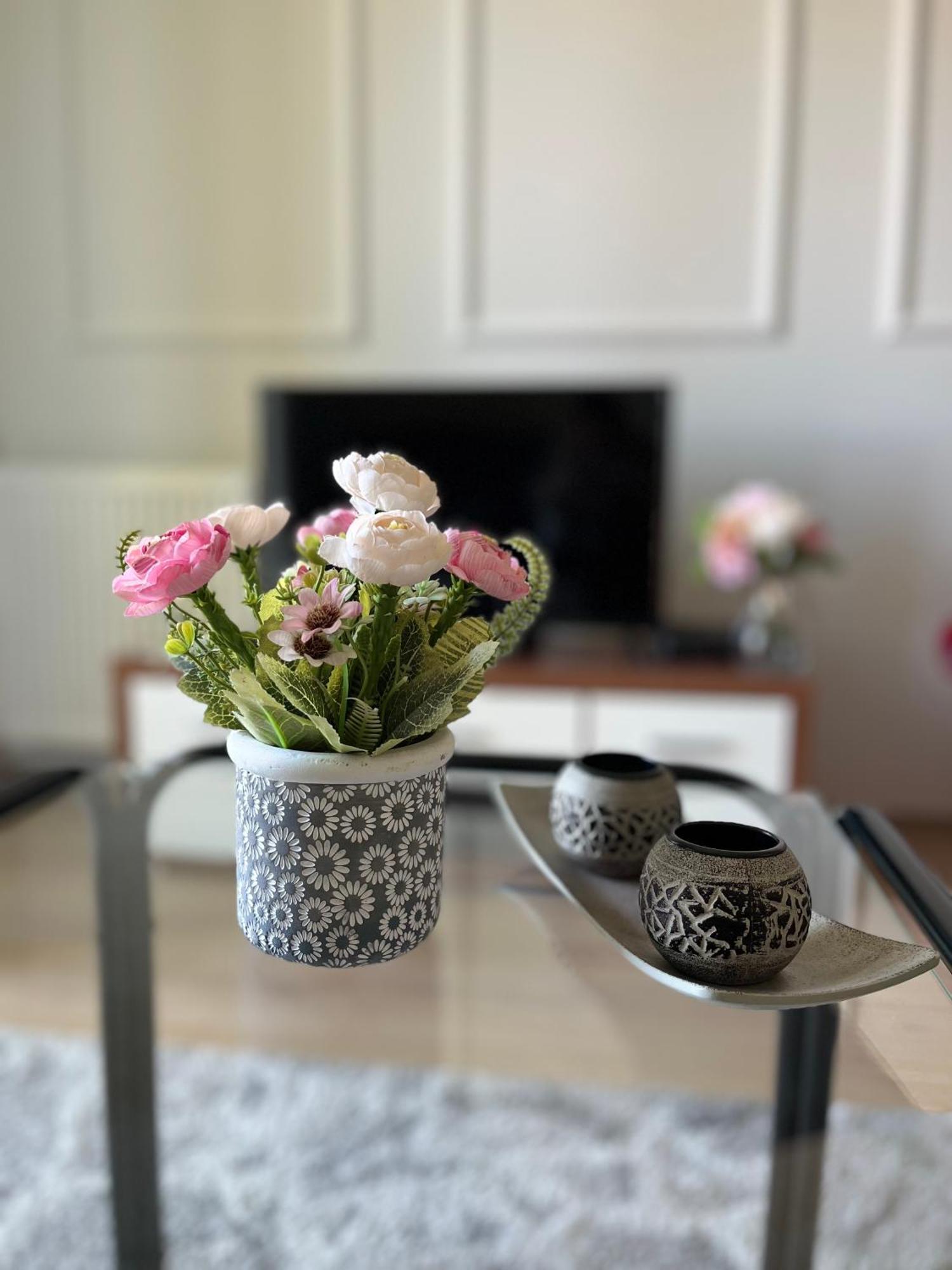 נובי סאד Apartment Vera With Free Garage מראה חיצוני תמונה